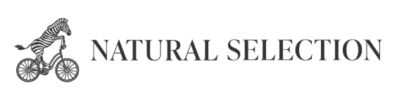 Partner logo 6