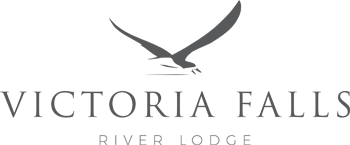 Partner logo 10